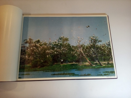 Album do Pantanal
